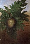 unknow artist, Hawaiian Breadfruit, oil on canvas painting by Persis Goodale Thurston Taylor, c. 1890